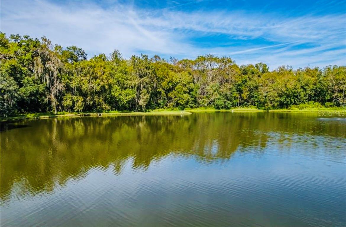 Image 43 of 59 For 1690 Colonnades Circle N