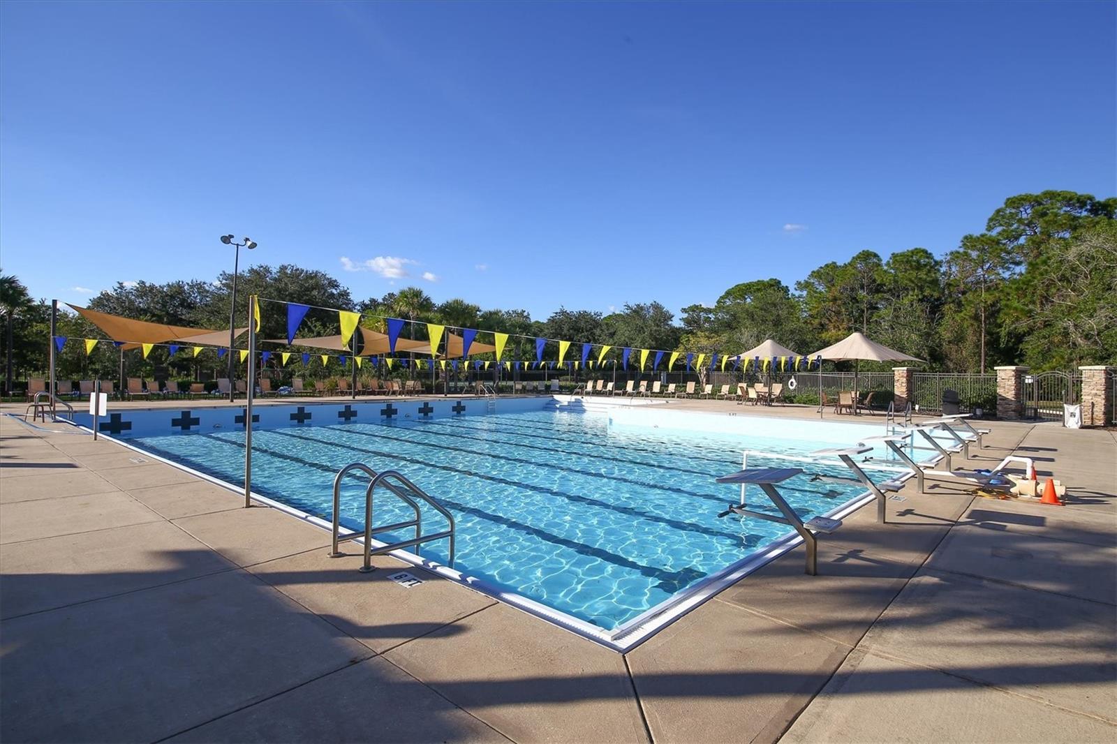 Image 43 of 59 For 12046 Thornhill Court