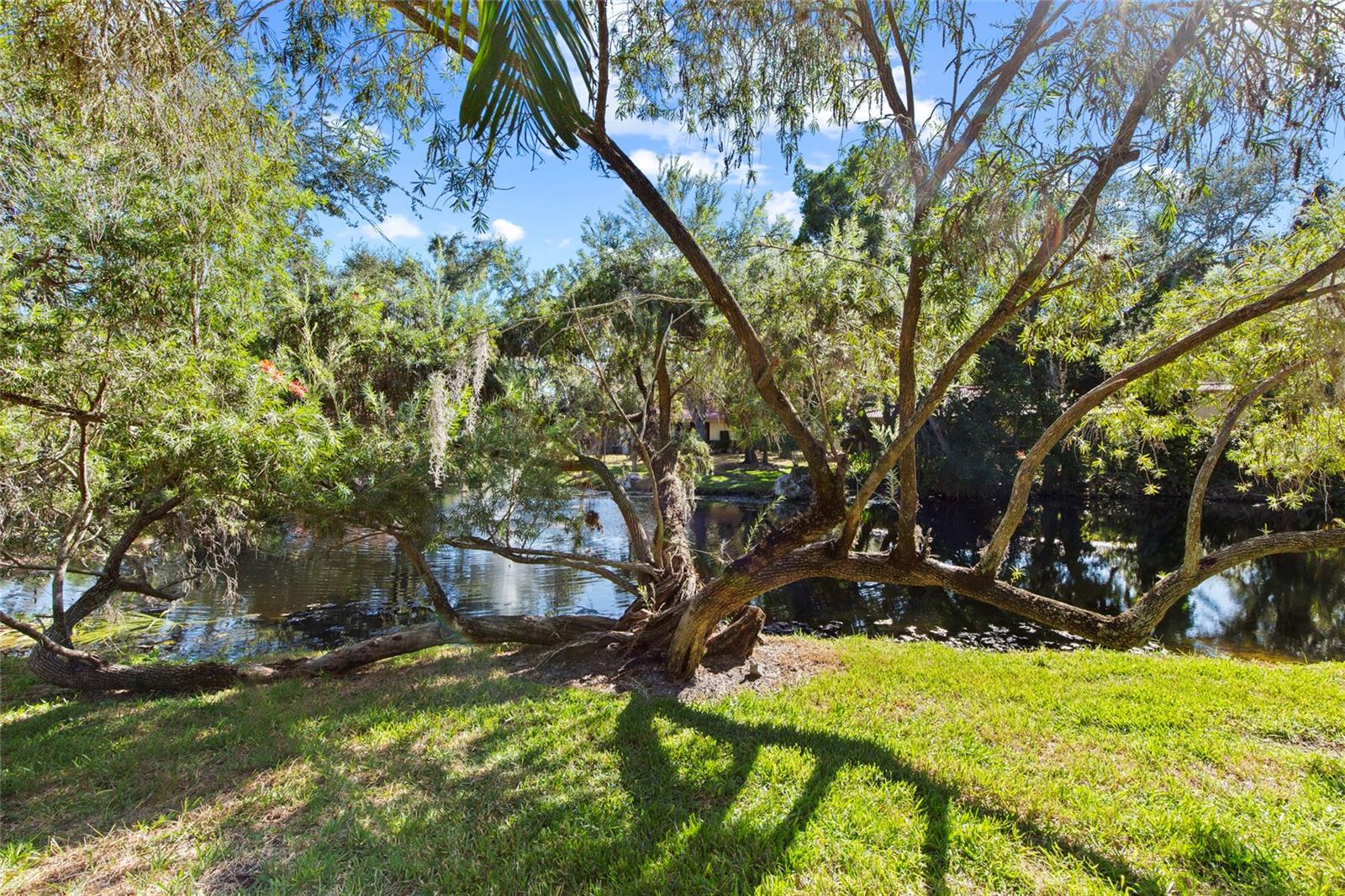 Image 29 of 32 For 3703 Quail Hollow Place