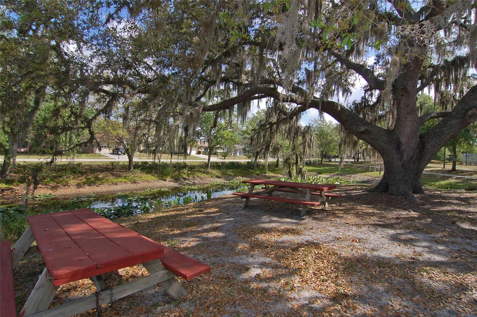 Image 52 of 68 For 2246 Cork Oak Street W