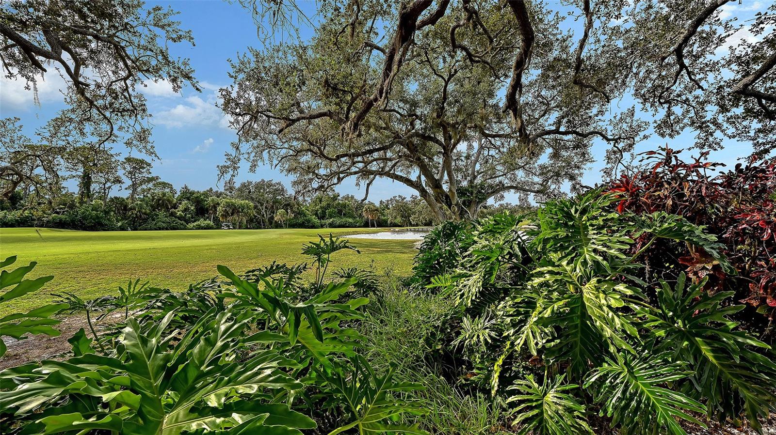 Listing photo id 87 for 7460 Monte Verde