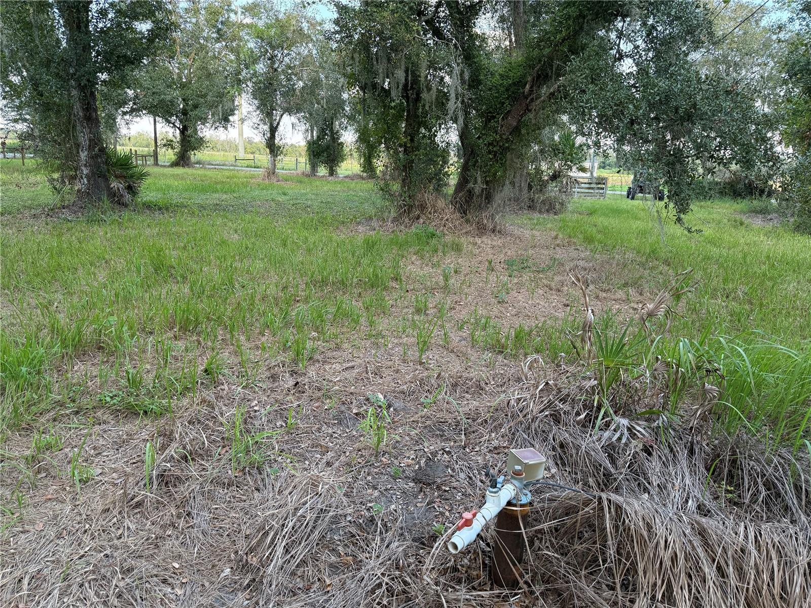 Image 8 of 11 For Se Townsend Avenue