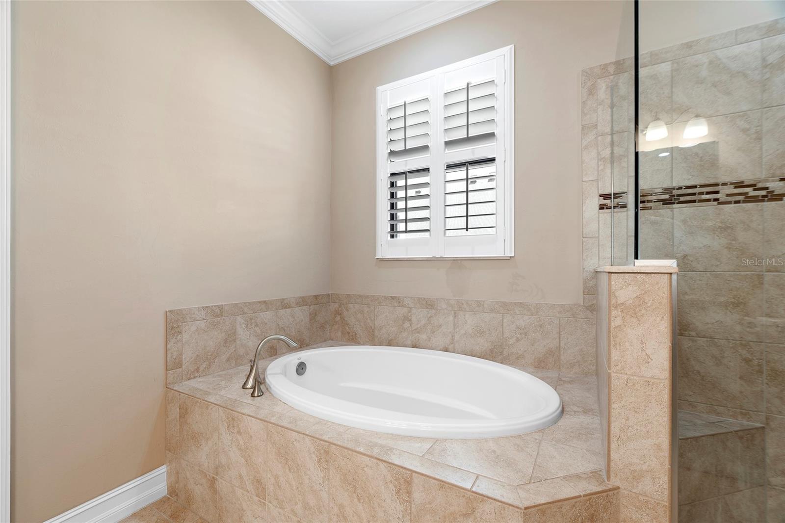 Image 17 of 41 For 1015 Bluffwood Drive