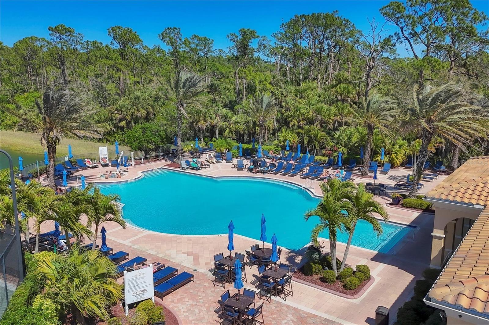 Image 51 of 71 For 165 Padova Way 15