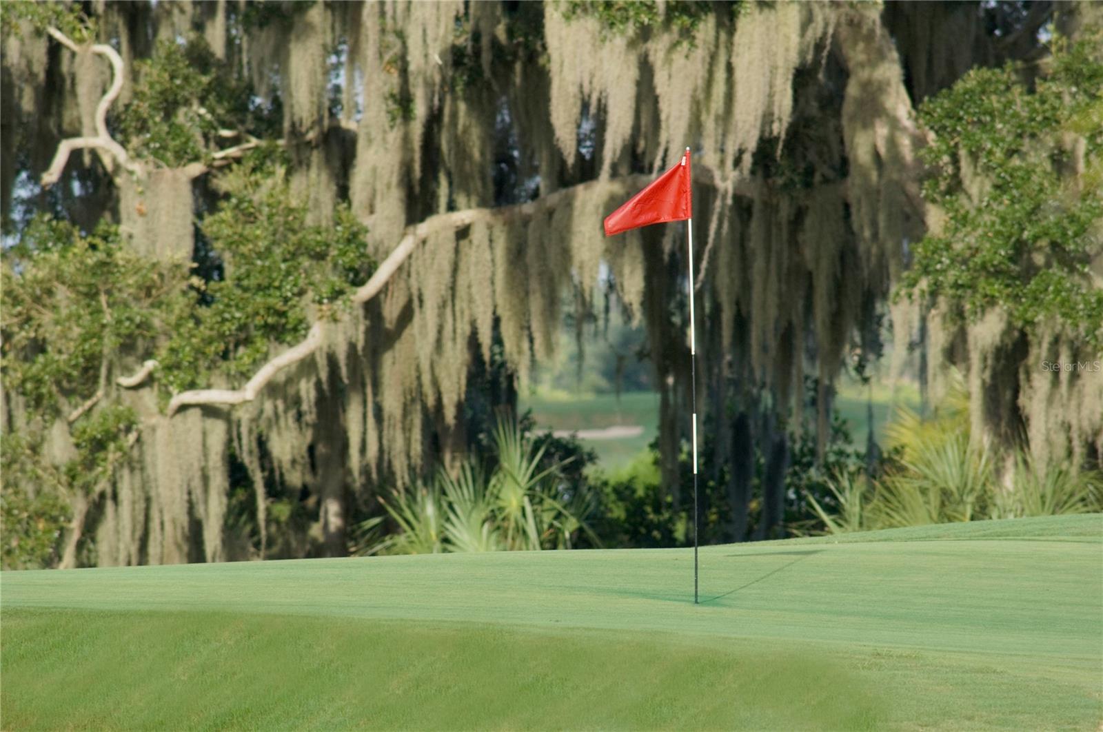 Image 56 of 68 For 9019 Heritage Sound Drive