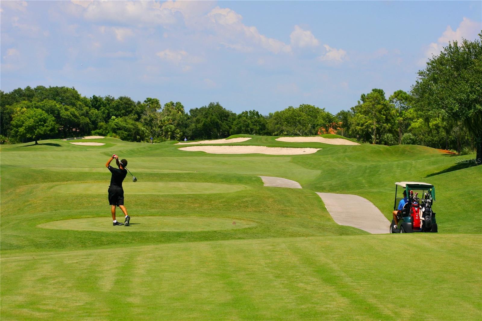 Image 57 of 68 For 9019 Heritage Sound Drive