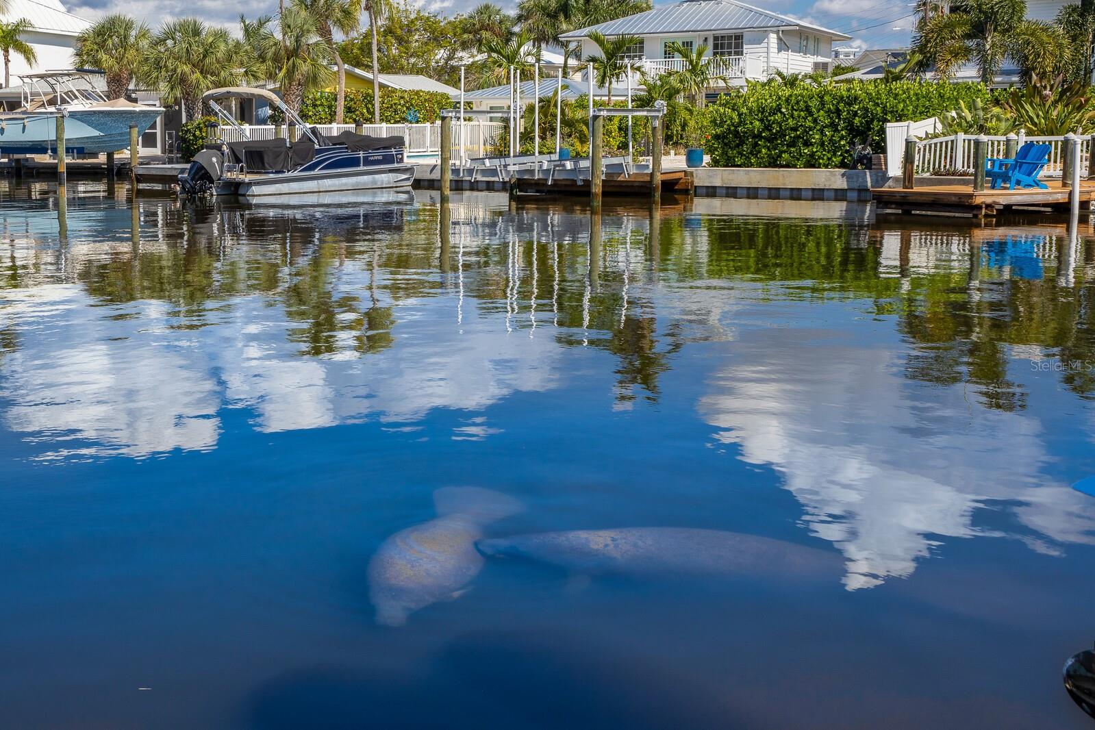 Image 76 of 84 For 201 Harbor Drive