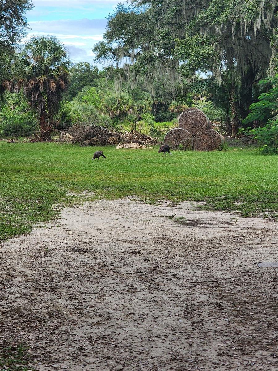 Image 12 of 12 For 3945 County Road 833