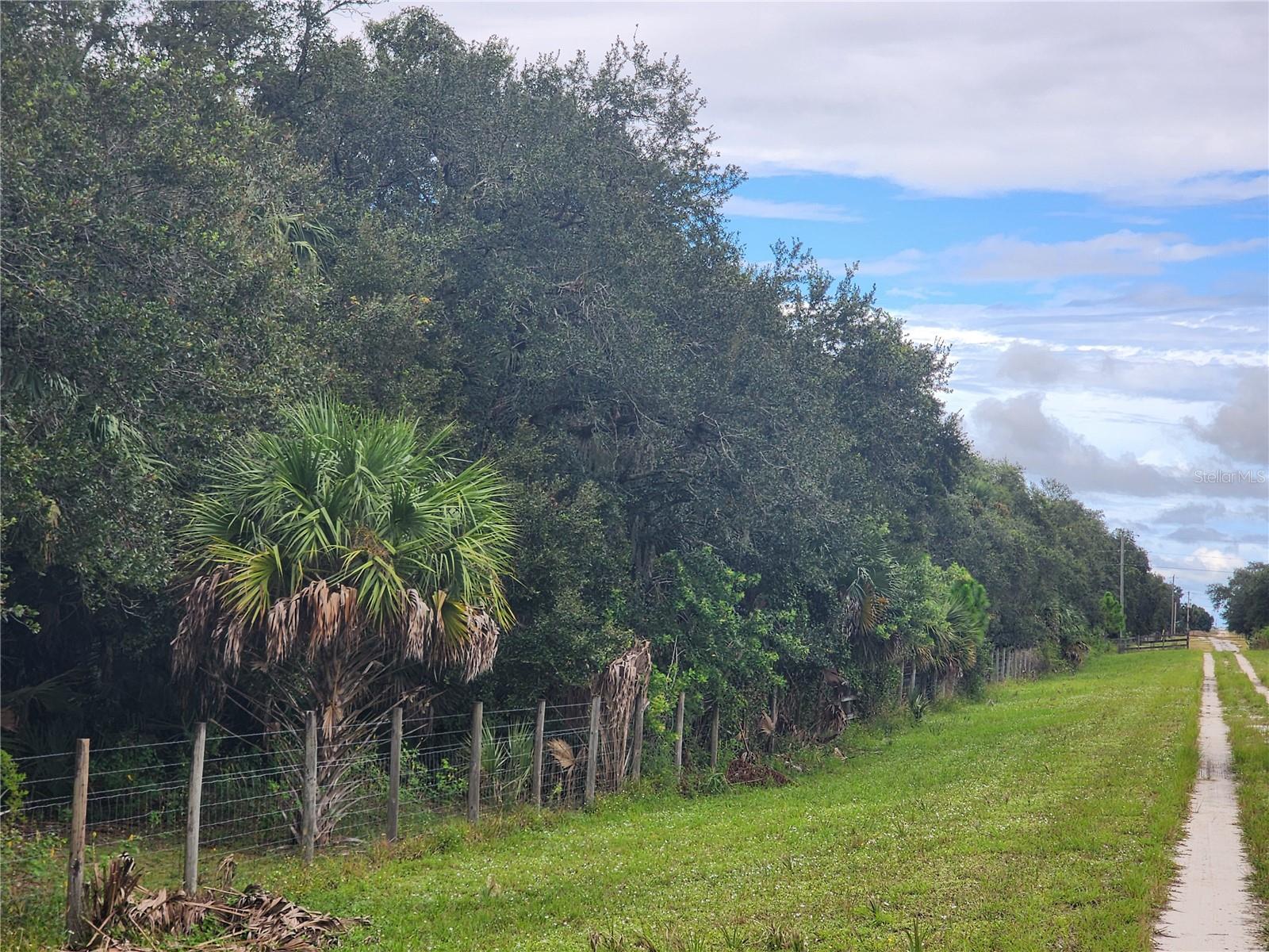 Image 7 of 12 For 3945 County Road 833