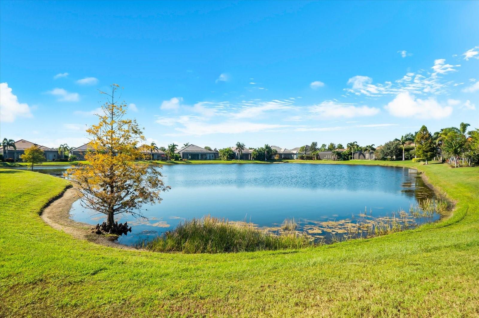 Image 61 of 90 For 7203 Prestbury Circle