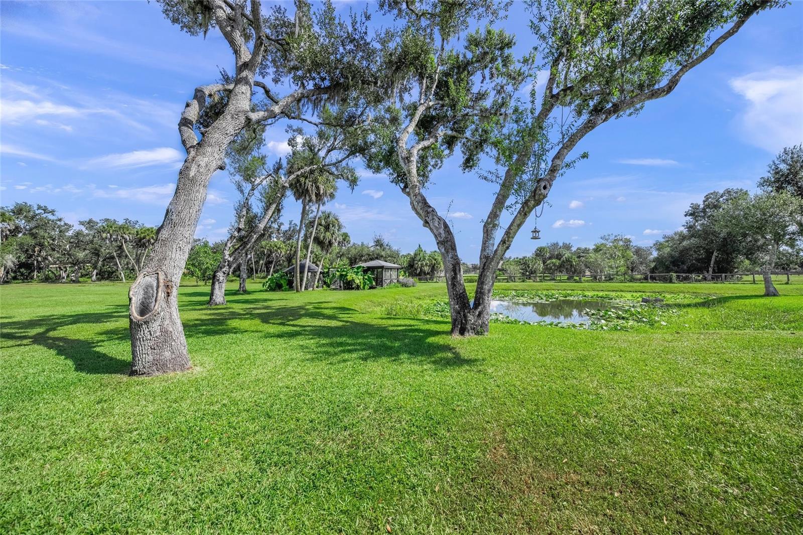 Image 50 of 63 For 7012 Saddle Creek Circle