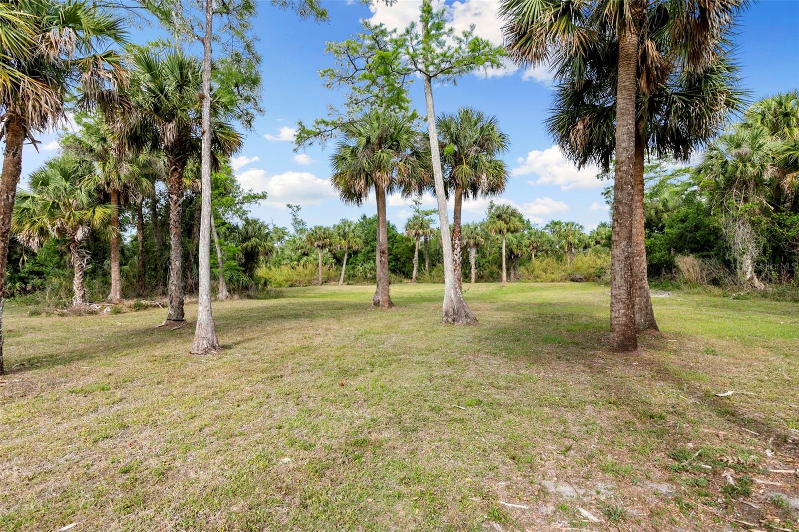 Image 42 of 49 For 1020 19th Street Sw