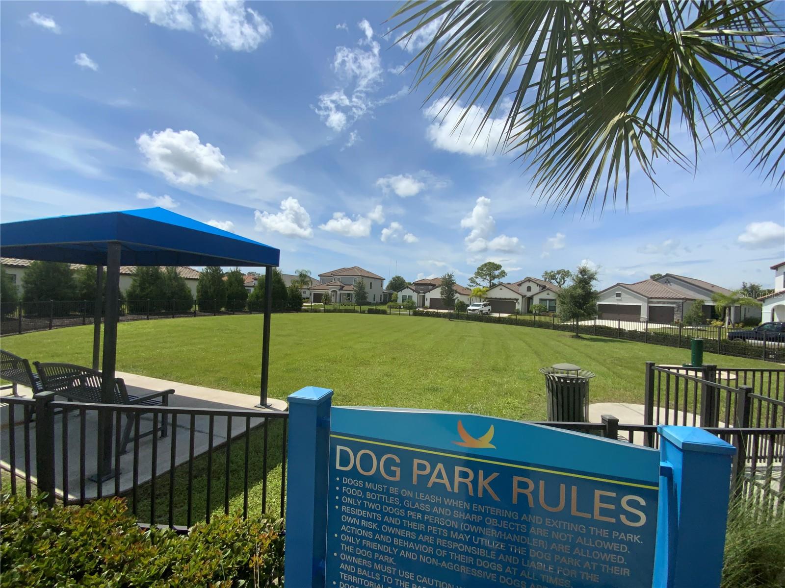 Image 42 of 45 For 249 Corsano Drive