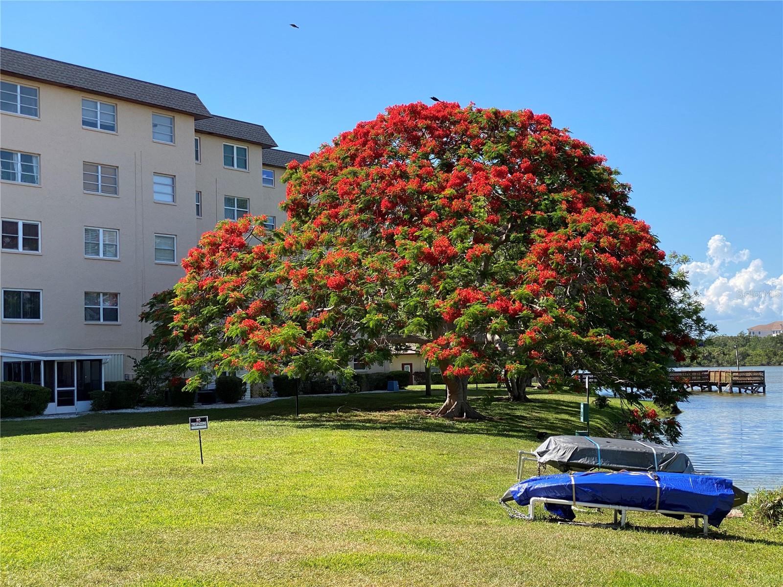 Image 44 of 48 For 3927 Lake Bayshore Drive F312