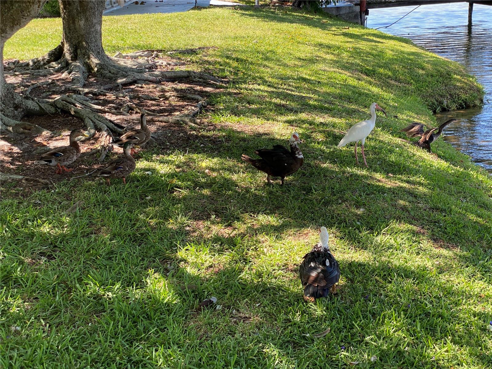 Image 48 of 48 For 3927 Lake Bayshore Drive F312