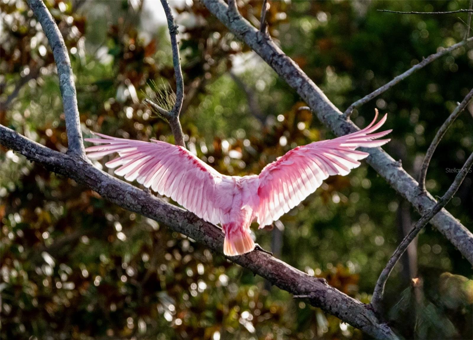 Image 57 of 71 For 9512 Colonial Drive