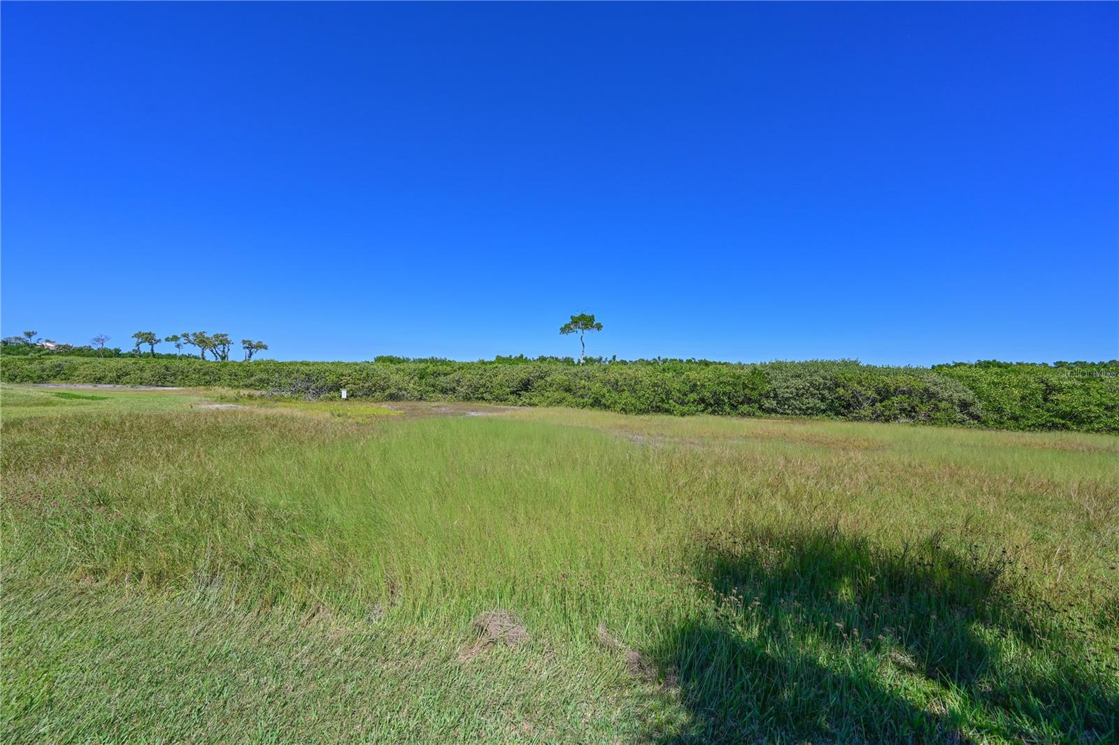 Image 13 of 32 For 12405 Baypointe Terrace