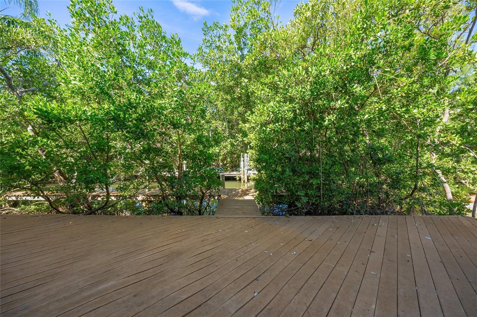 Image 52 of 81 For 569 Juan Anasco Drive