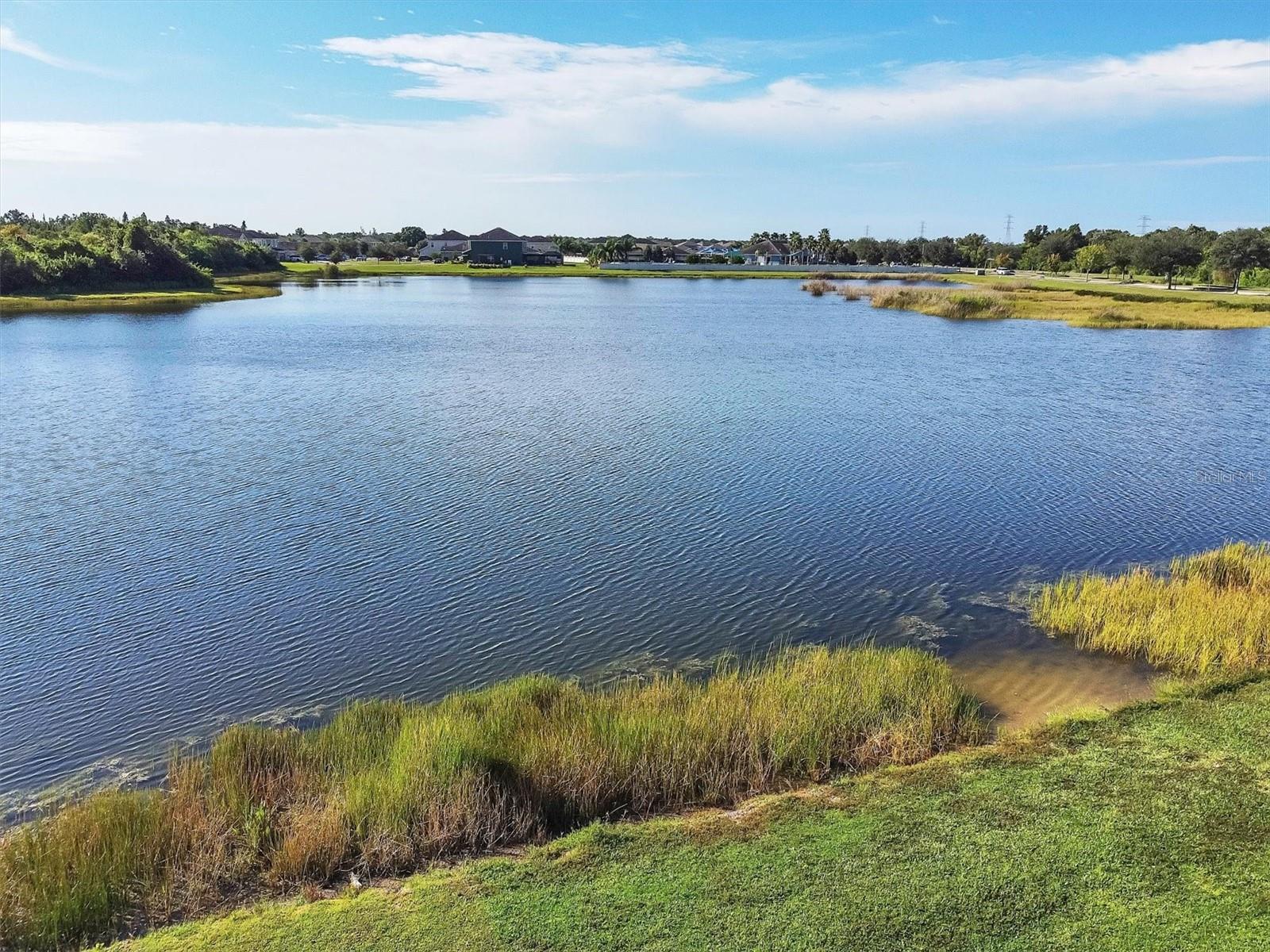 Image 29 of 37 For 8117 Tar Hollow Drive