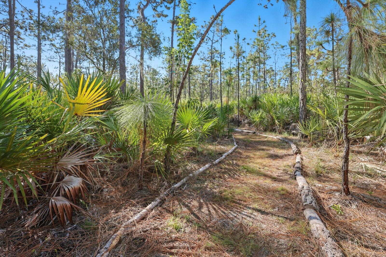 Image 10 of 52 For 7010 215th Street E