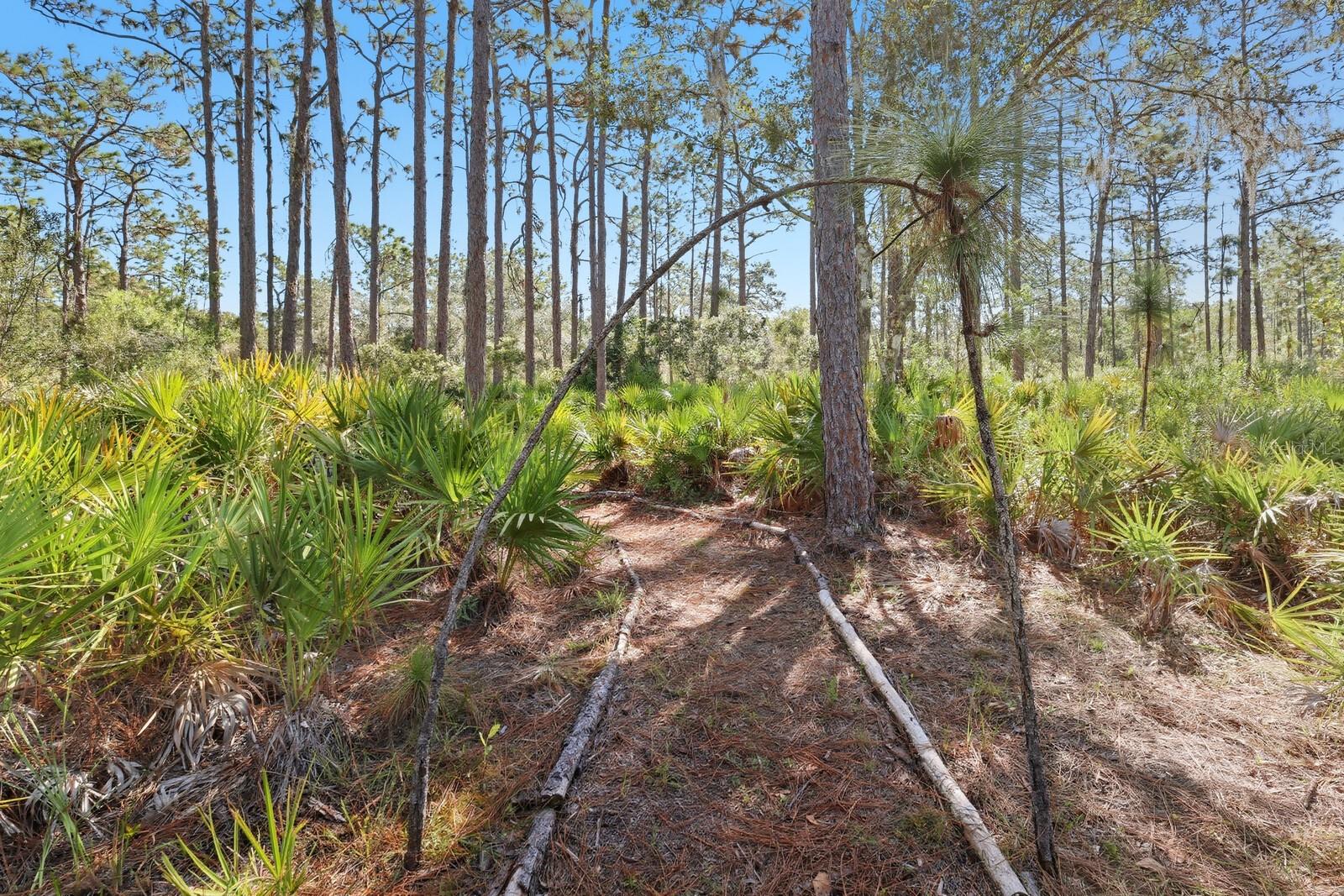 Image 11 of 52 For 7010 215th Street E