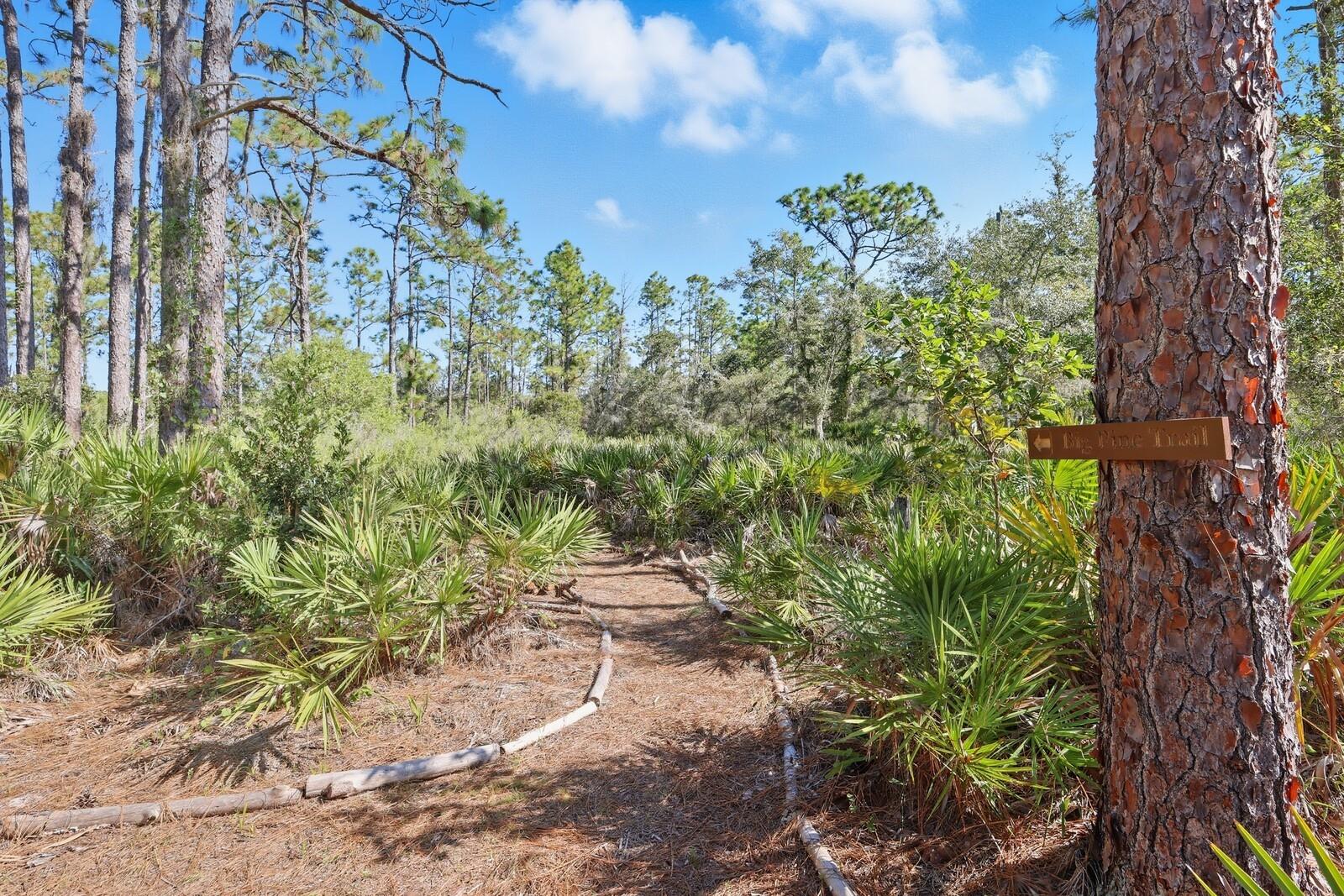 Image 13 of 52 For 7010 215th Street E