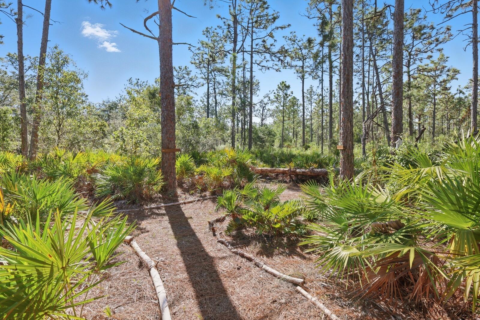 Image 14 of 52 For 7010 215th Street E