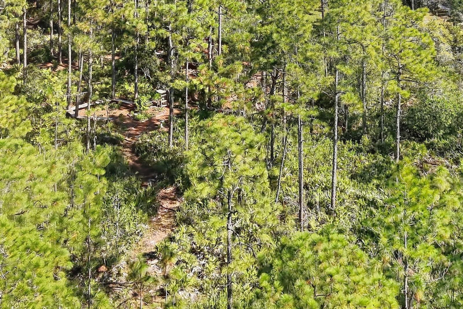 Image 15 of 52 For 7010 215th Street E