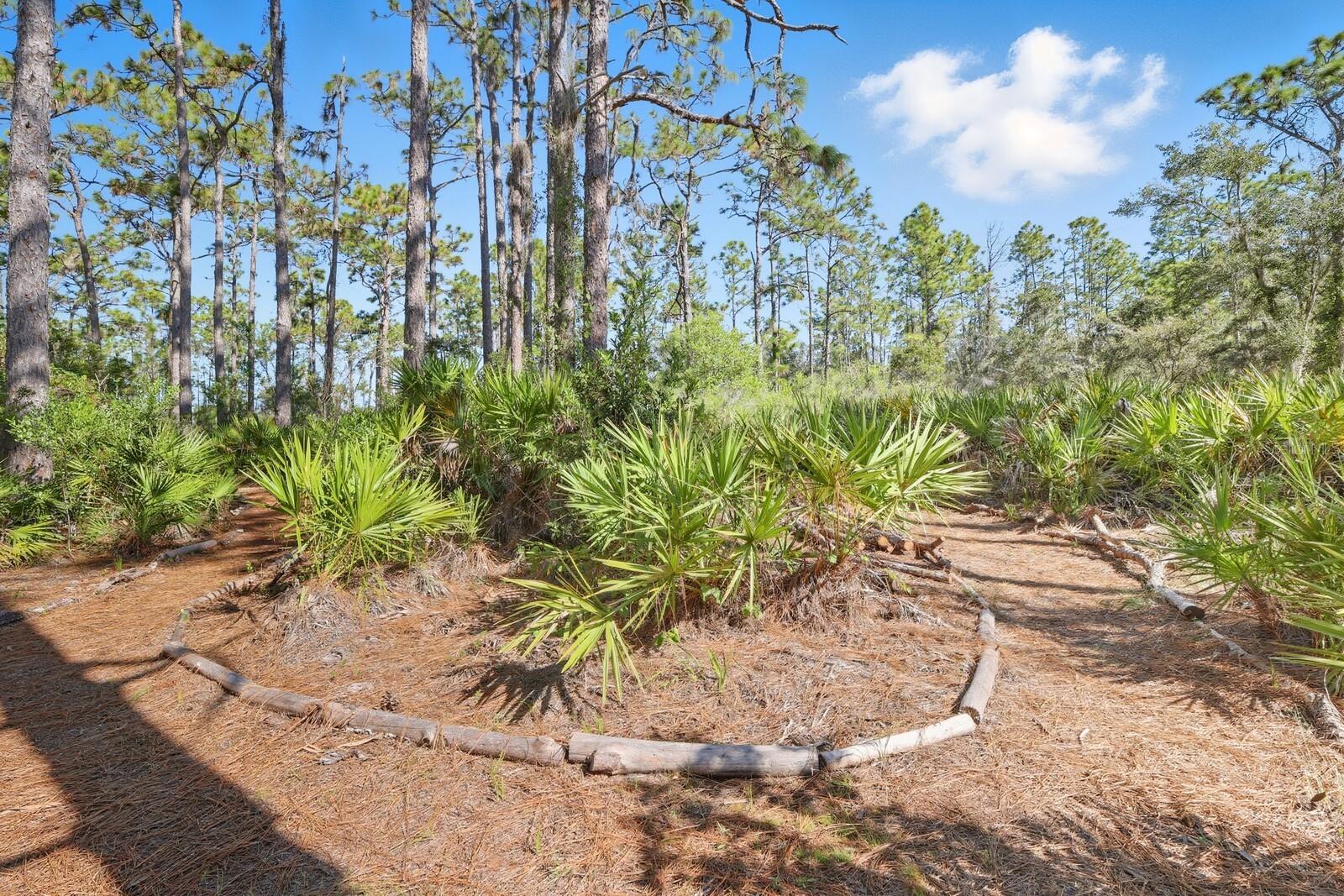 Image 18 of 52 For 7010 215th Street E