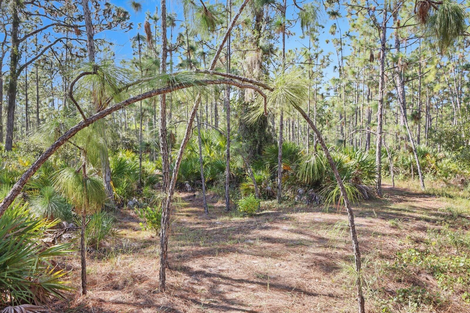 Image 27 of 52 For 7010 215th Street E