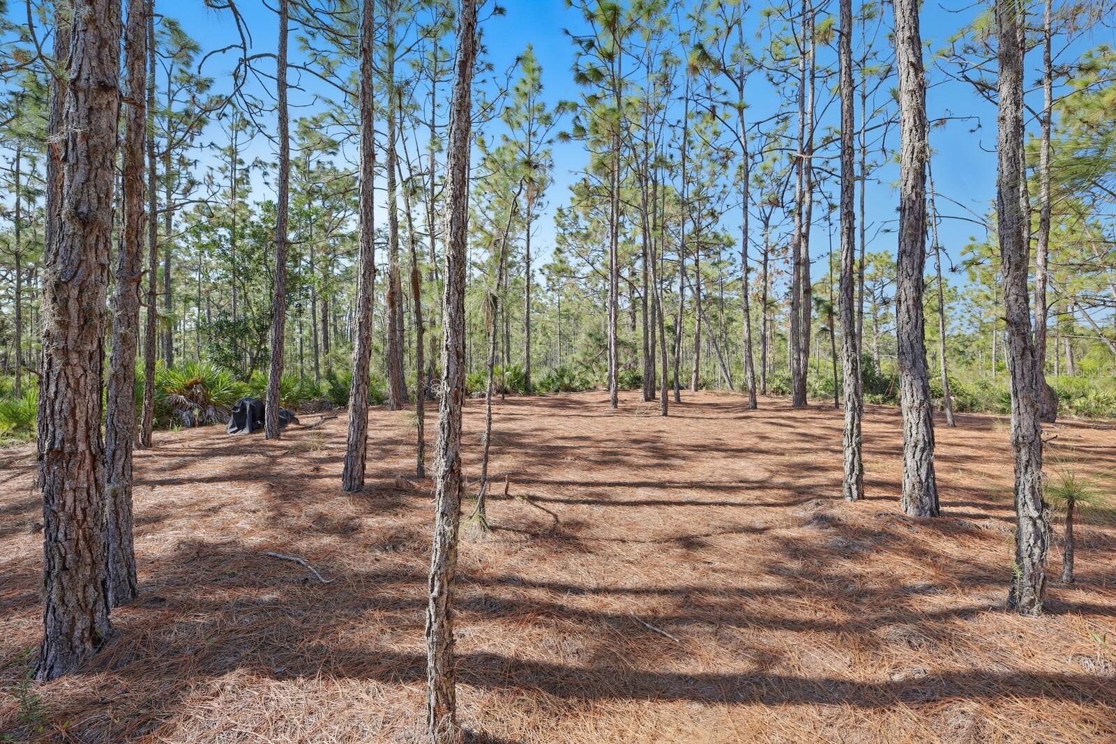 Image 28 of 52 For 7010 215th Street E