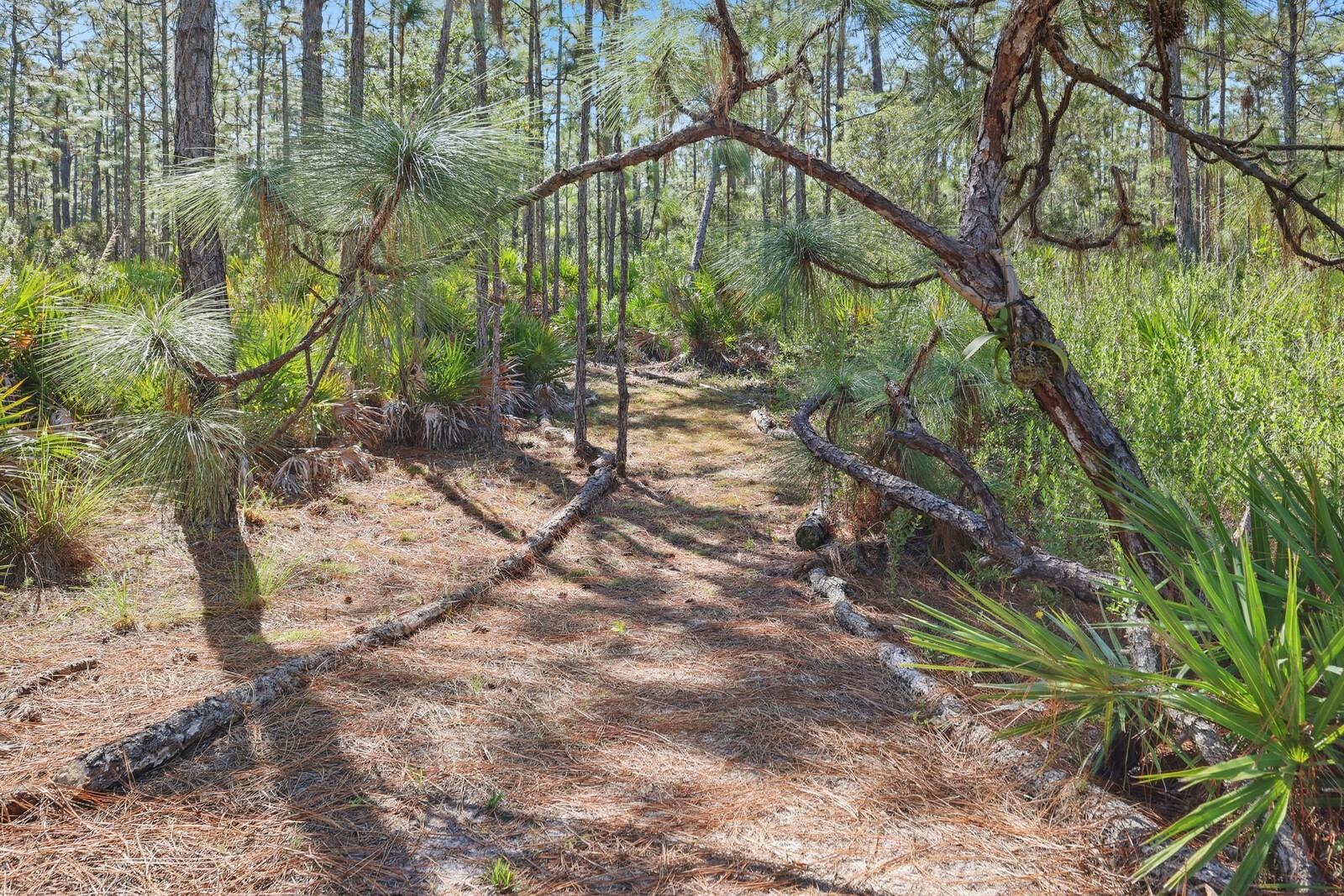 Image 29 of 52 For 7010 215th Street E