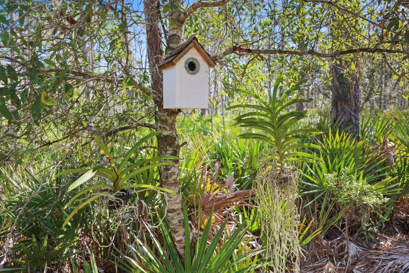 Image 30 of 52 For 7010 215th Street E