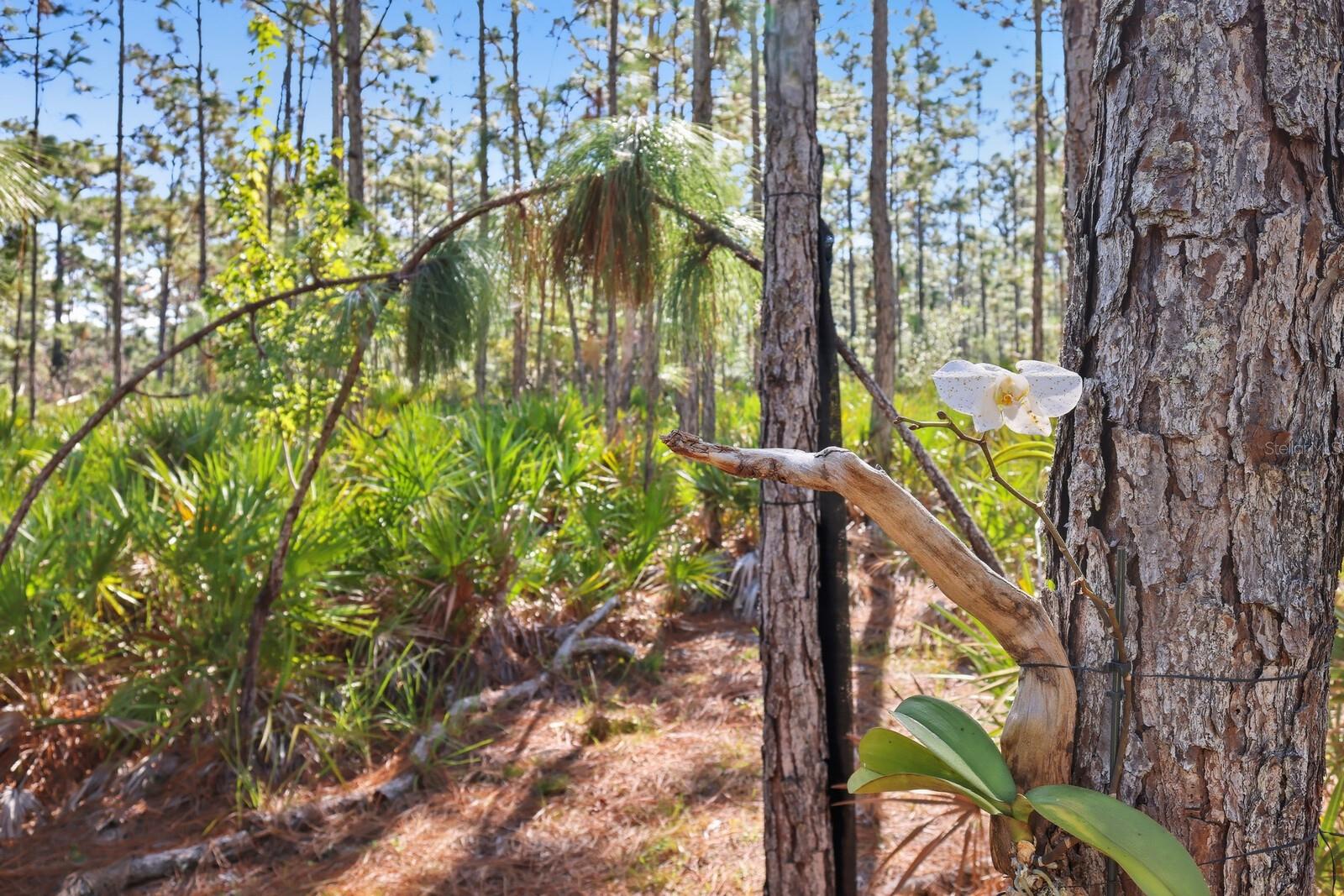 Image 31 of 52 For 7010 215th Street E