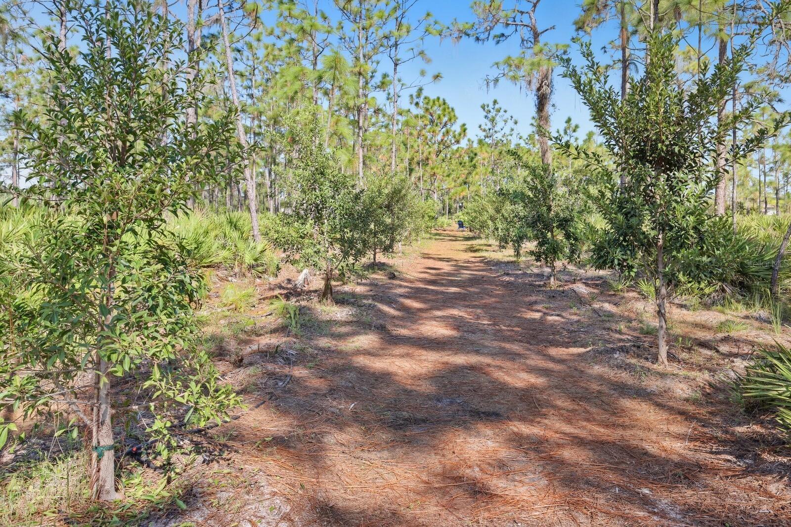 Image 32 of 52 For 7010 215th Street E