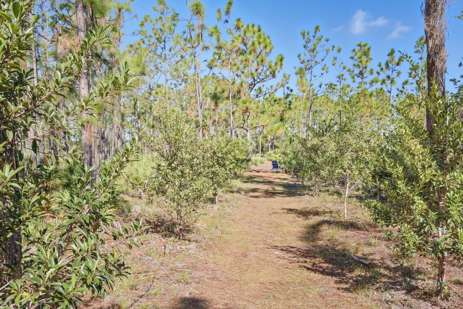 Image 33 of 52 For 7010 215th Street E