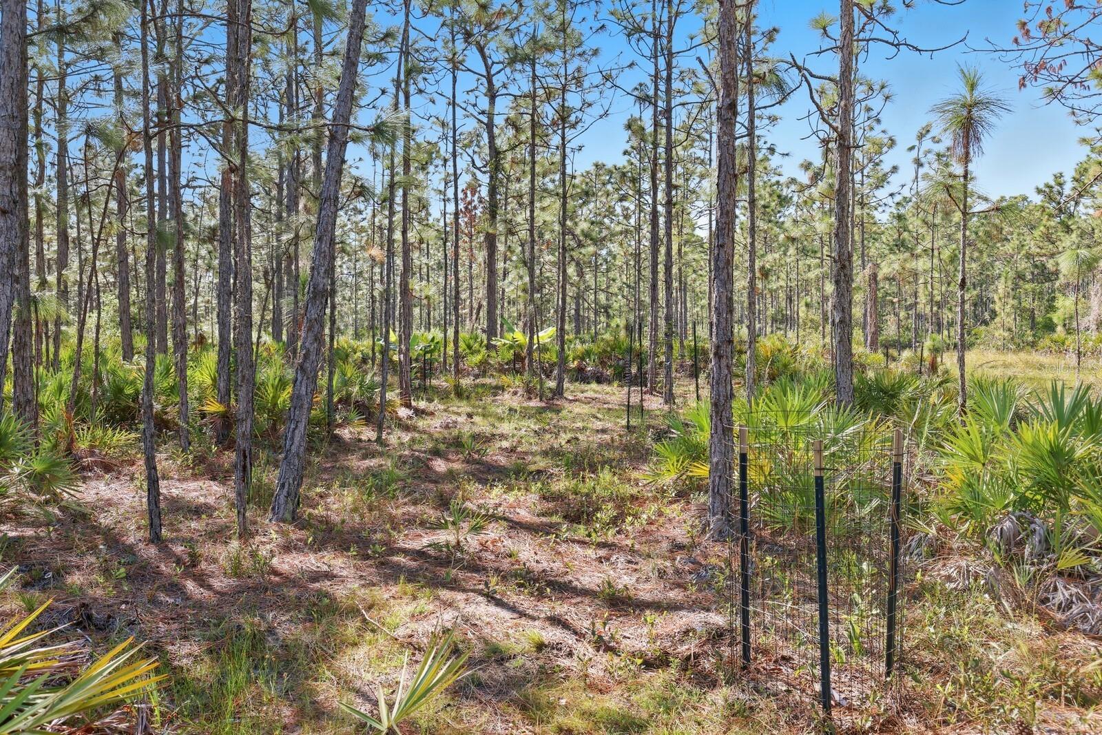 Image 36 of 52 For 7010 215th Street E