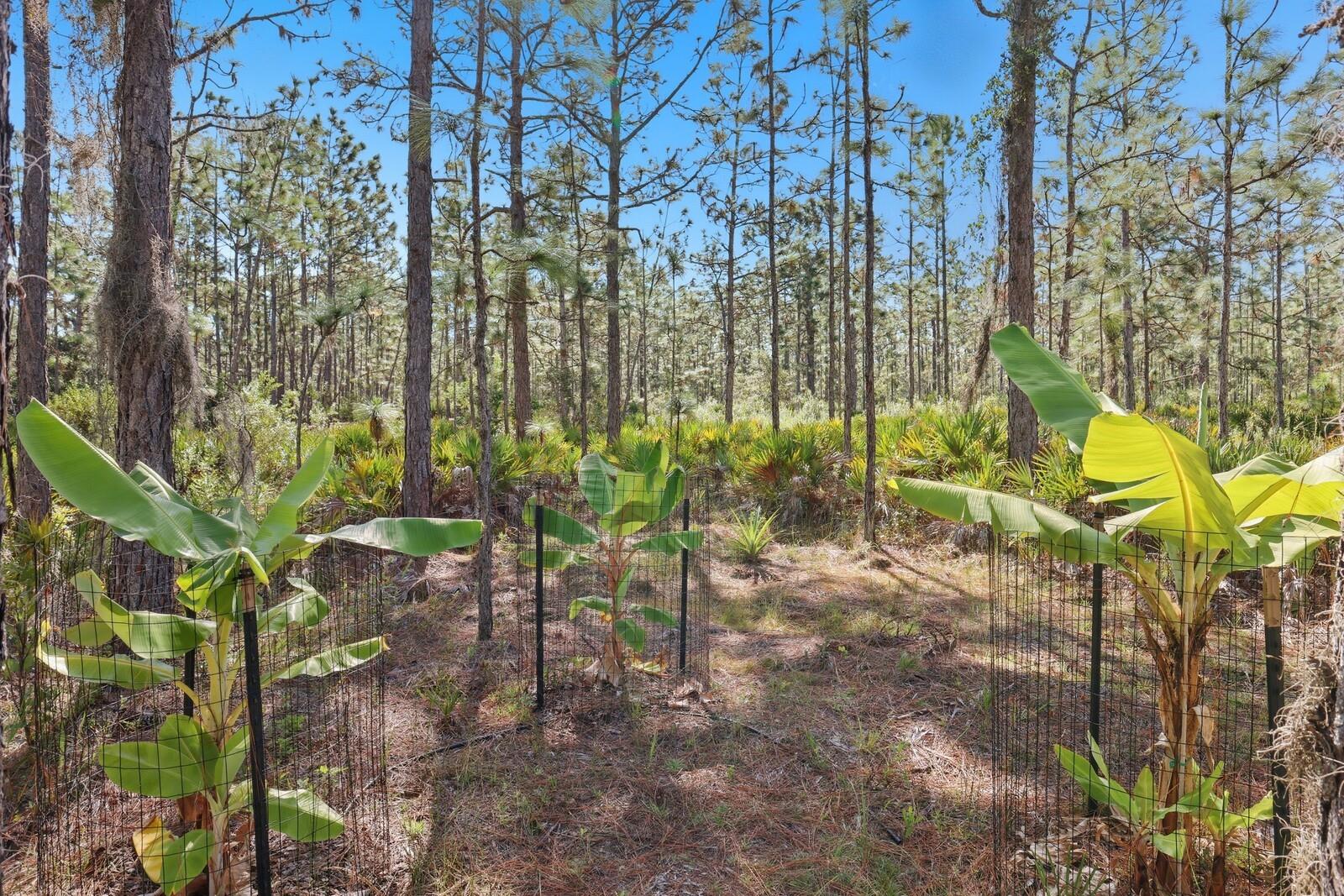 Image 37 of 52 For 7010 215th Street E