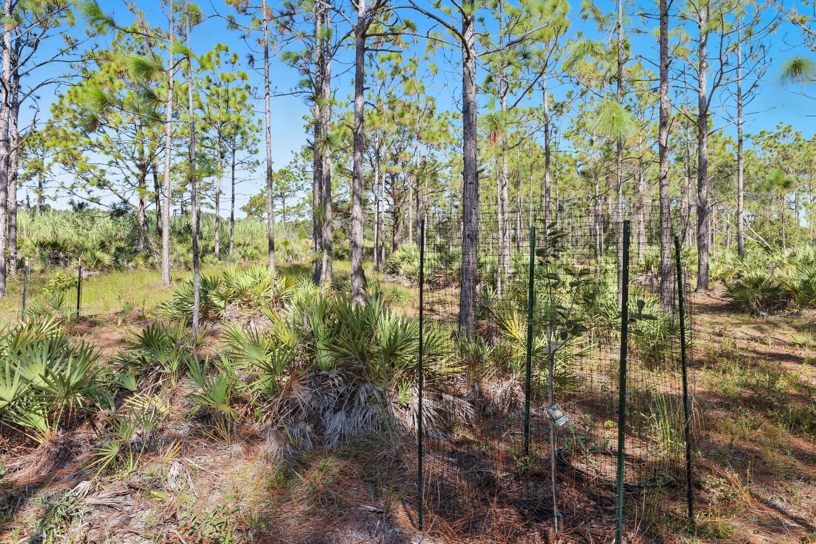 Image 38 of 52 For 7010 215th Street E