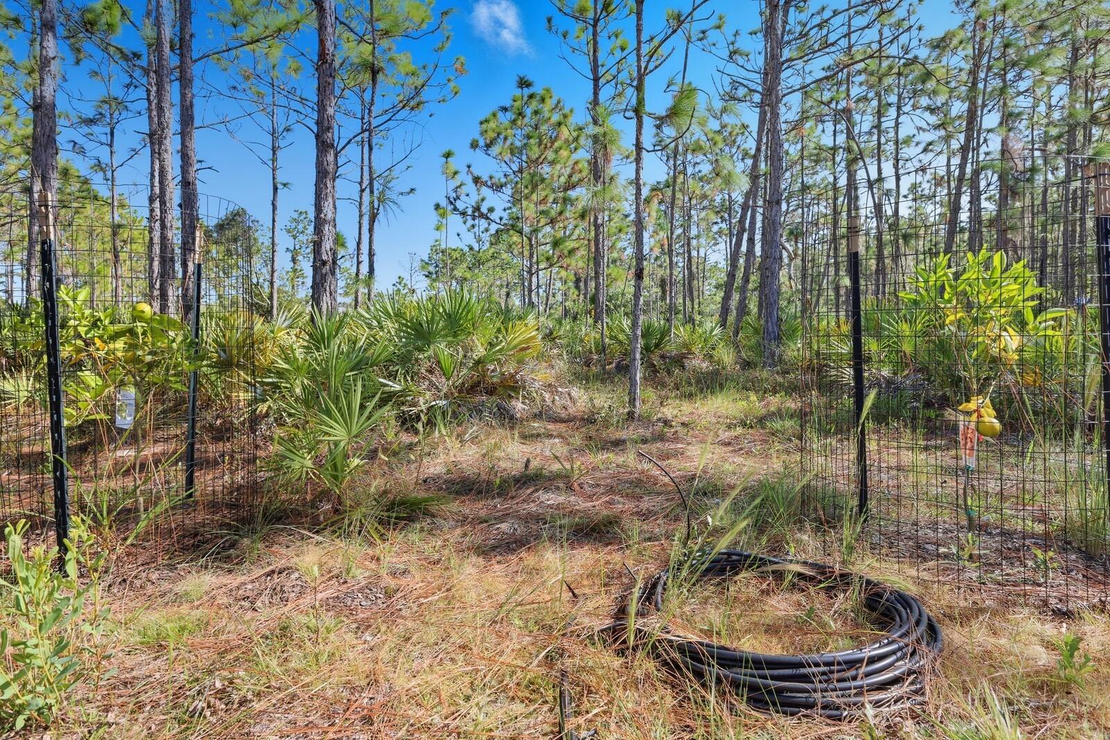 Image 39 of 52 For 7010 215th Street E