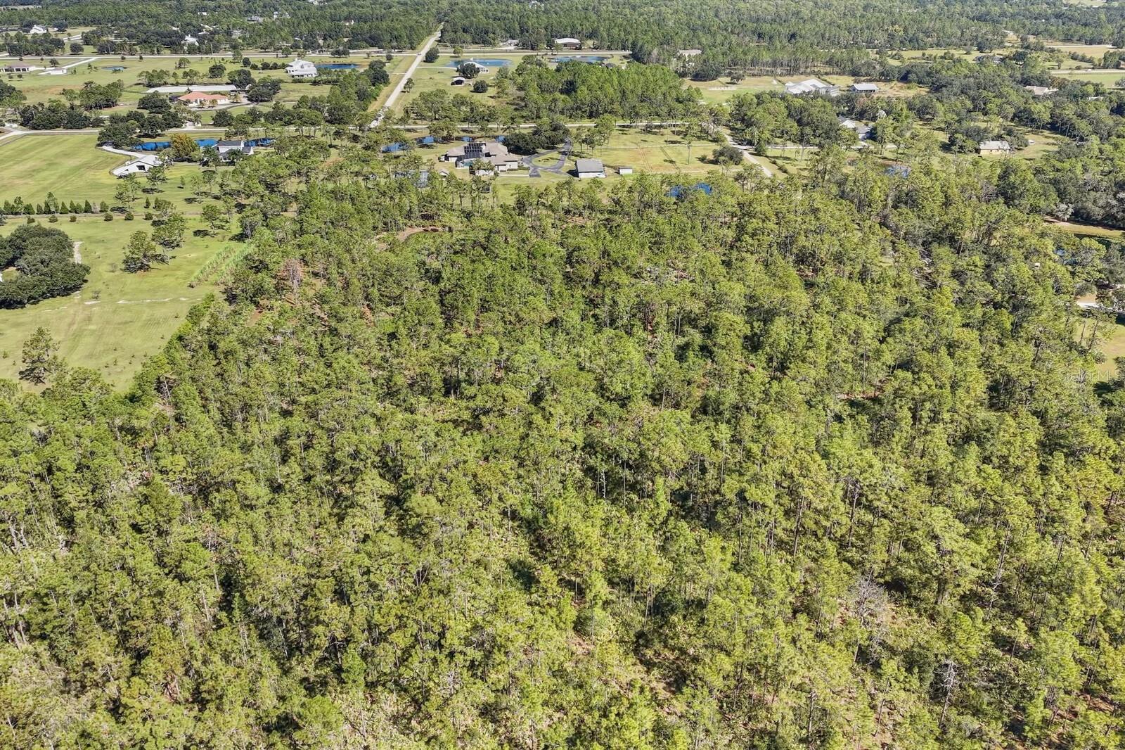 Image 40 of 52 For 7010 215th Street E