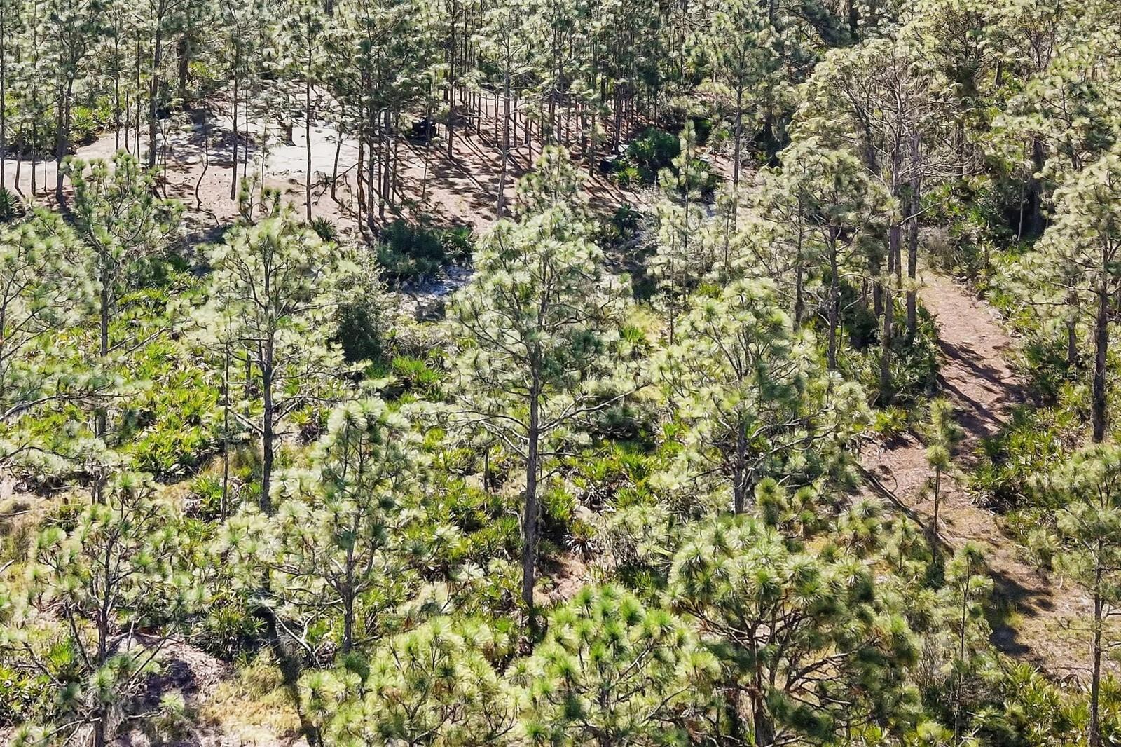 Image 43 of 52 For 7010 215th Street E