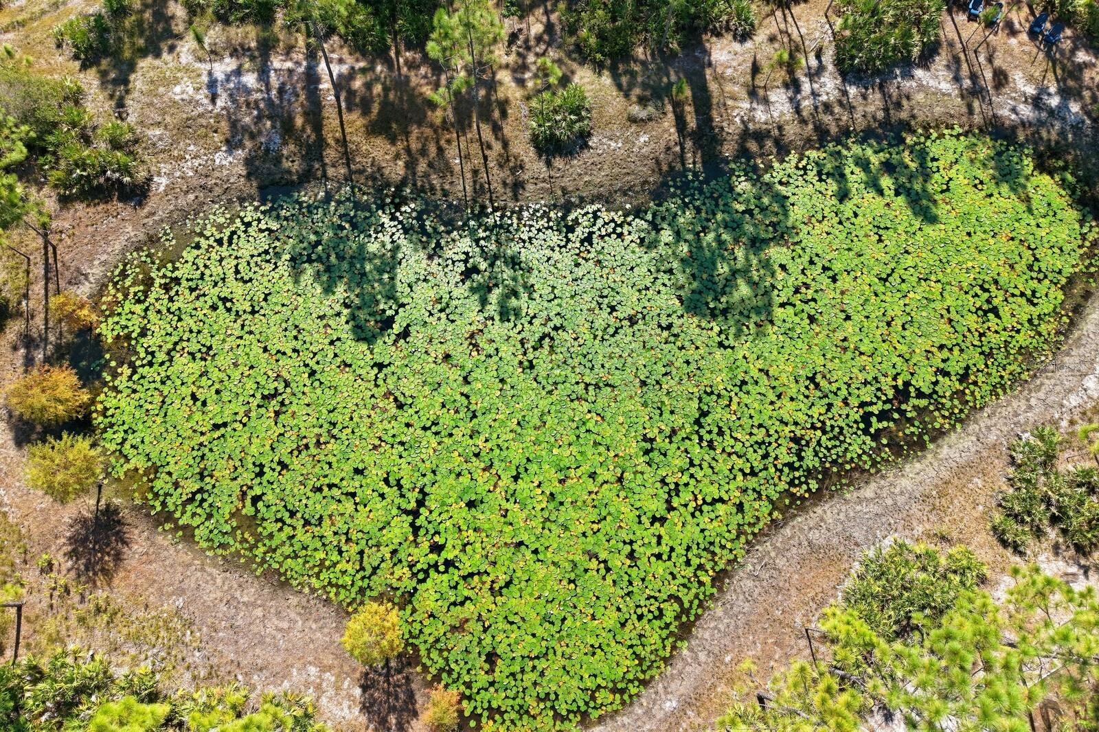 Image 5 of 52 For 7010 215th Street E