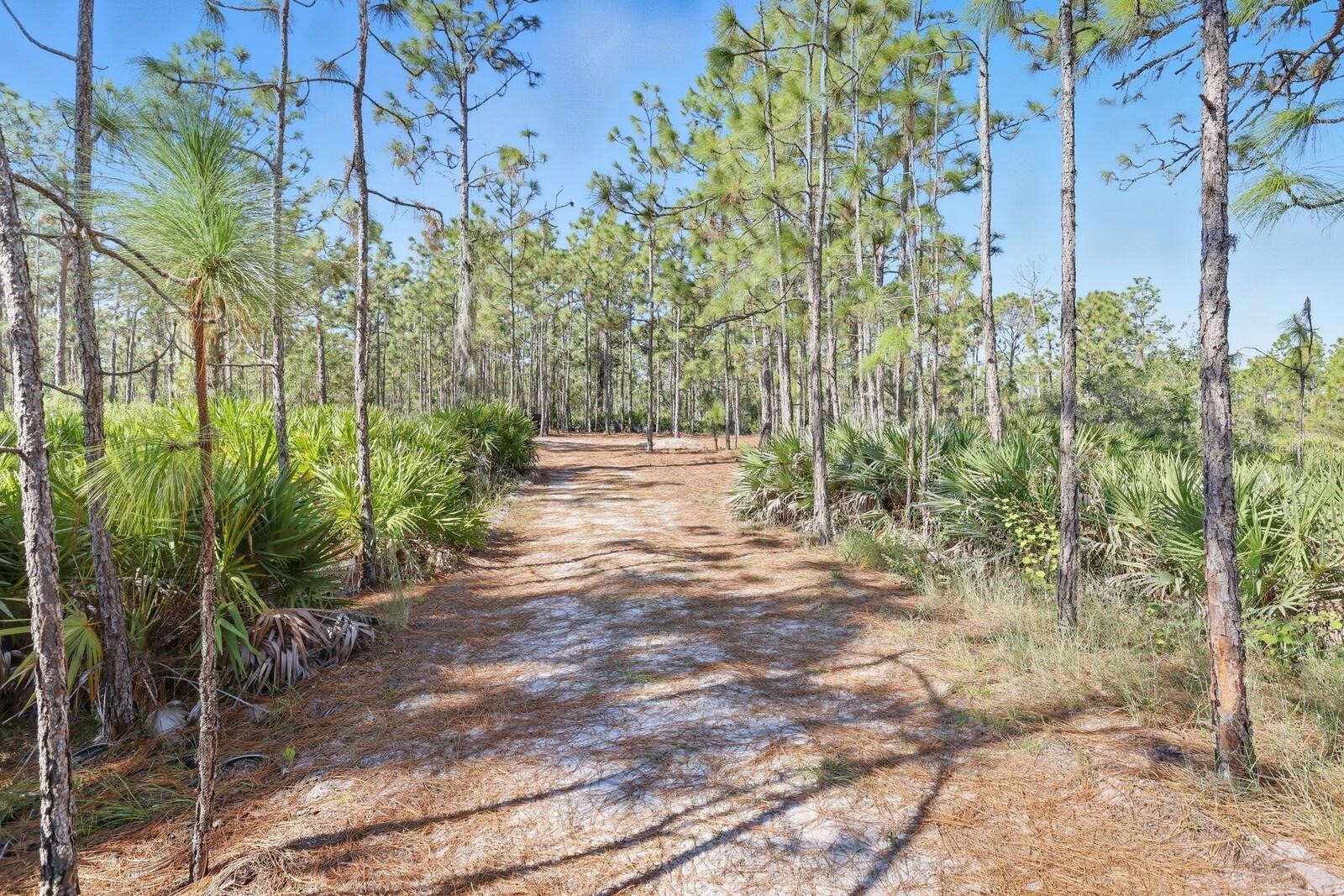 Image 6 of 52 For 7010 215th Street E