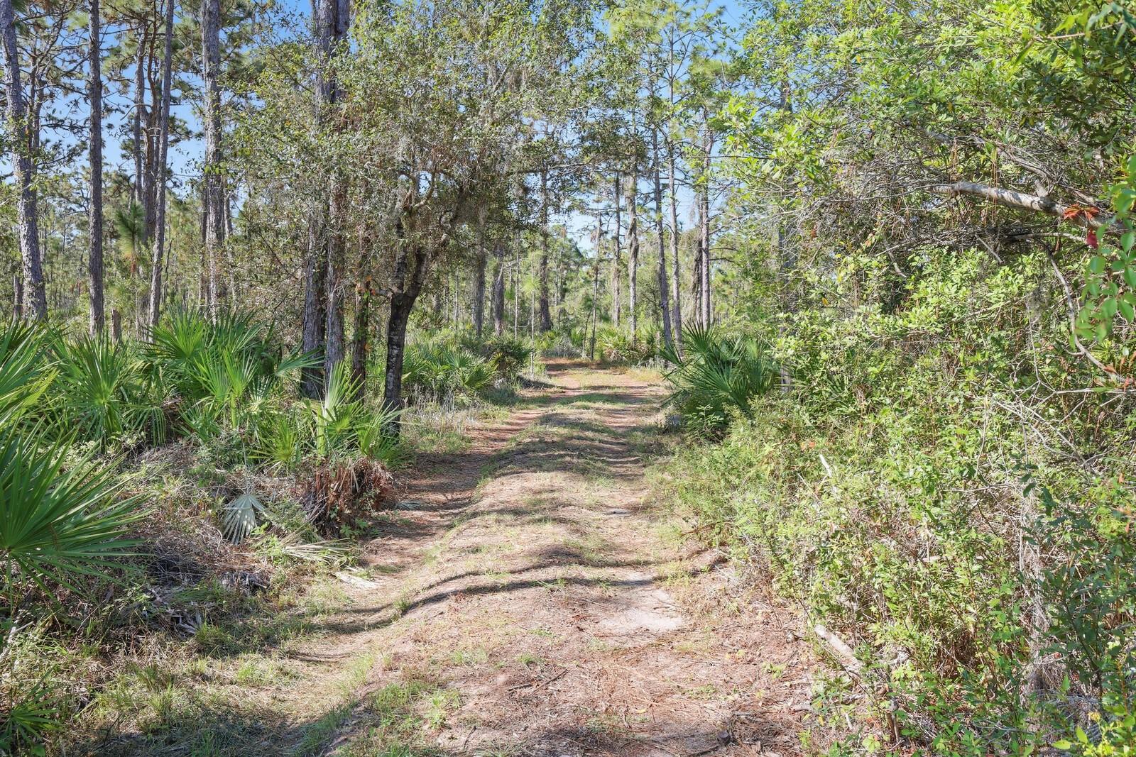 Image 7 of 52 For 7010 215th Street E