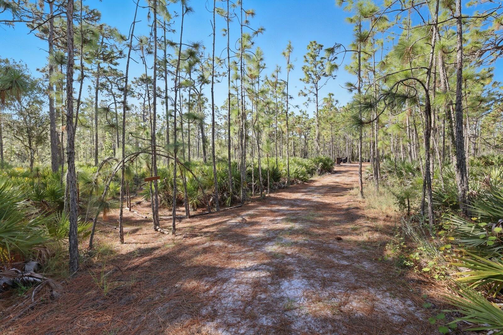 Image 8 of 52 For 7010 215th Street E