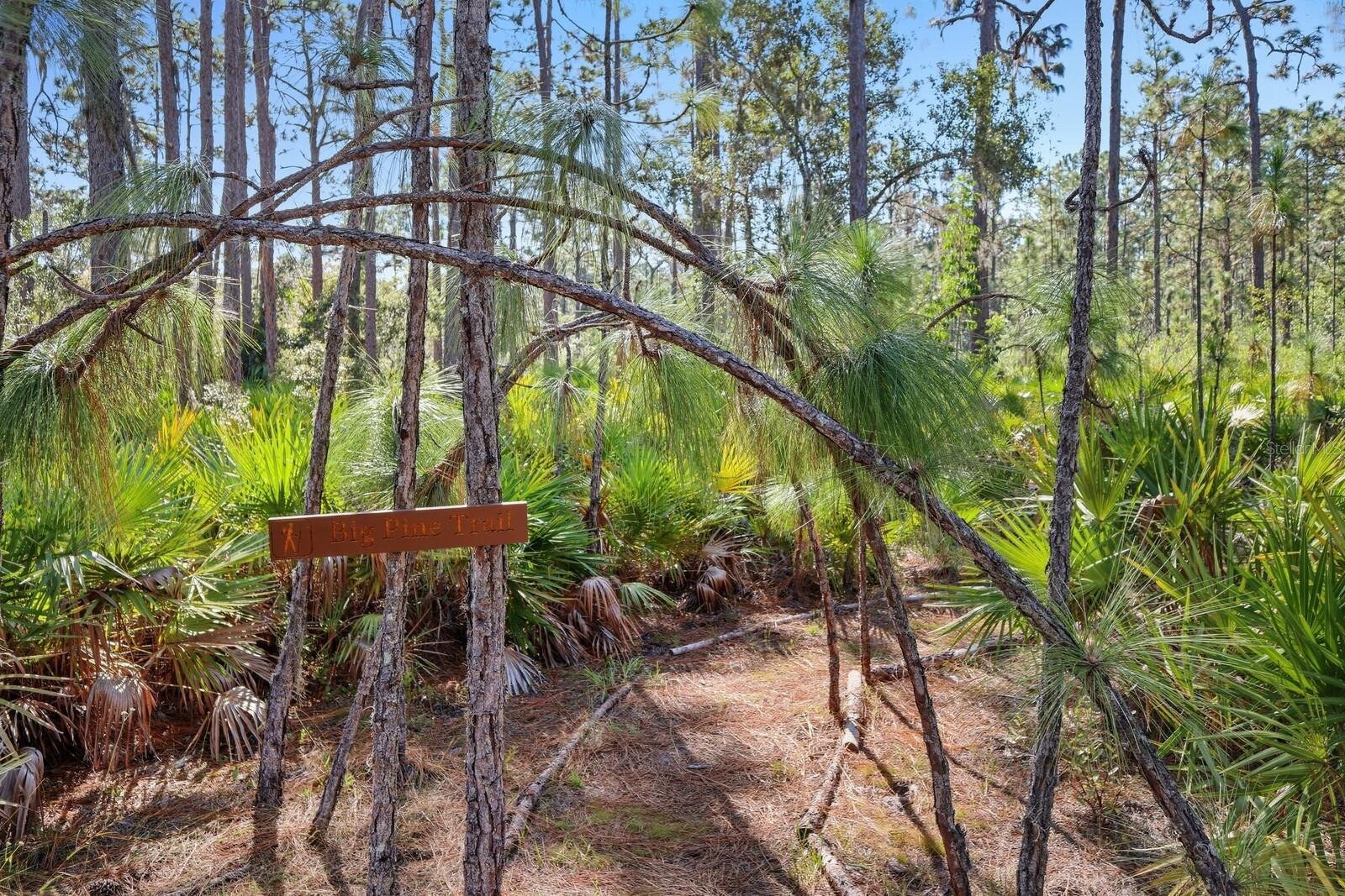 Image 9 of 52 For 7010 215th Street E