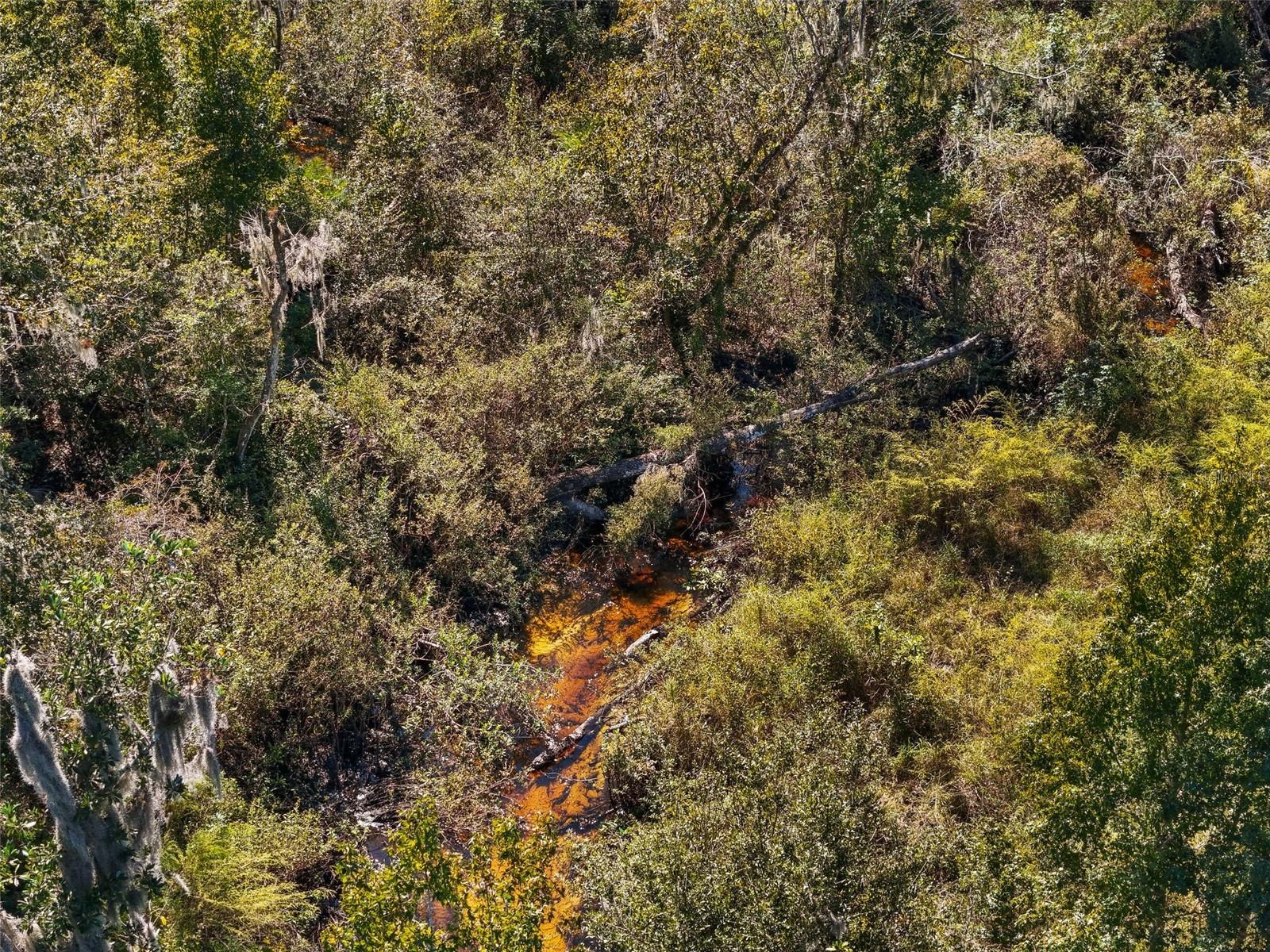 Image 43 of 49 For 8205 Keen Cemetery Road