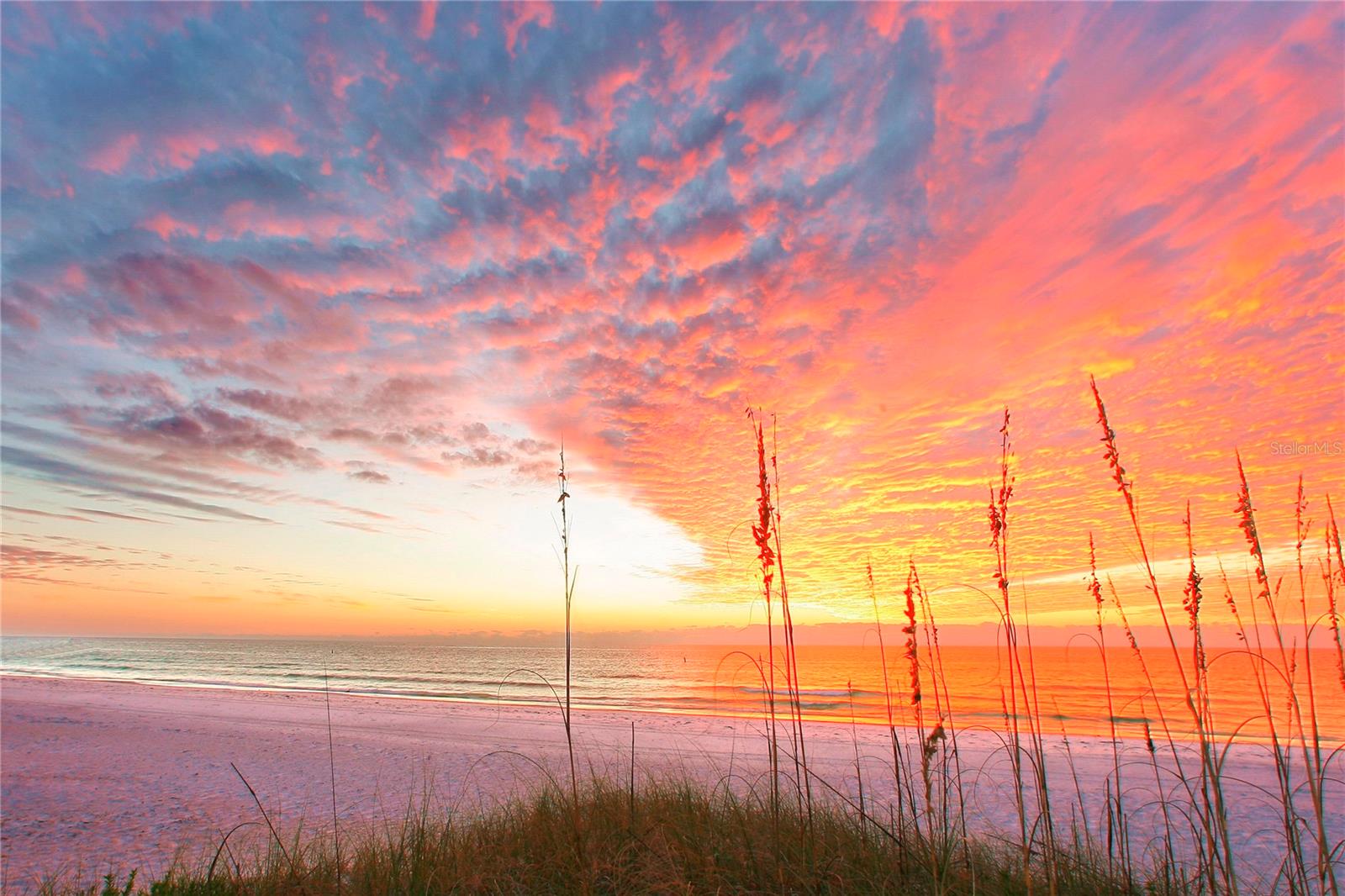 Image 55 of 57 For 5400 Ocean Boulevard 5-3