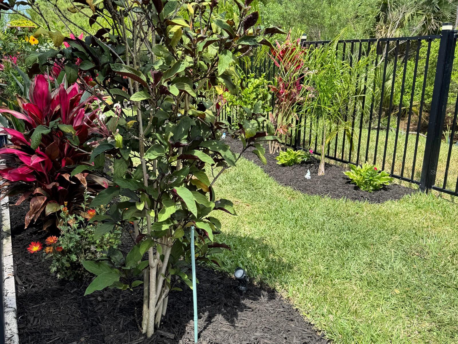 Image 45 of 50 For 20 Spring Street